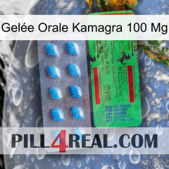 Gelée Orale Kamagra 100 Mg new03